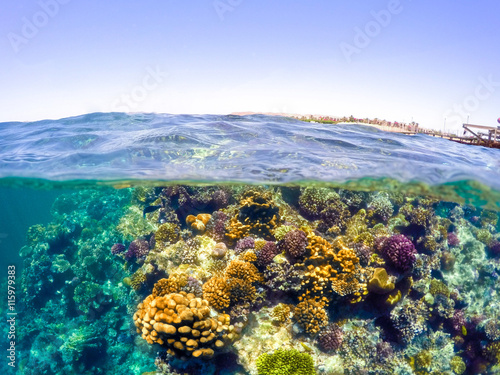Underwater and surface split view in the tropics sea