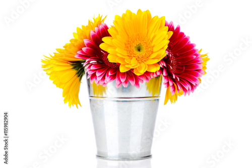 Fototapeta Naklejka Na Ścianę i Meble -  Daisy flowers in the bucket isolated on white