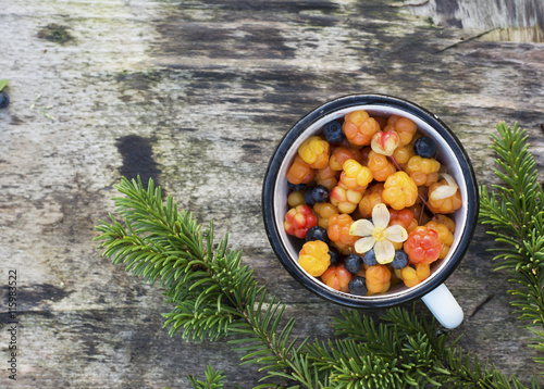 White enamel mug on wooden gray background in a forest full of ripe cloudberry northern and juicy blueberries. The concept healthy organic natural seasonal food. photo