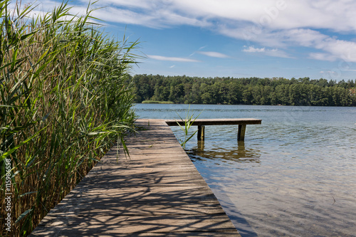 Nature at Straussee