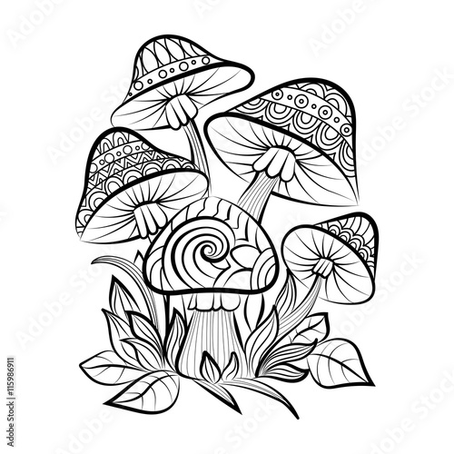 Hand drawn doodle outline mushrooms. Vector zentangle illustration. Sketch for adult coloring pages