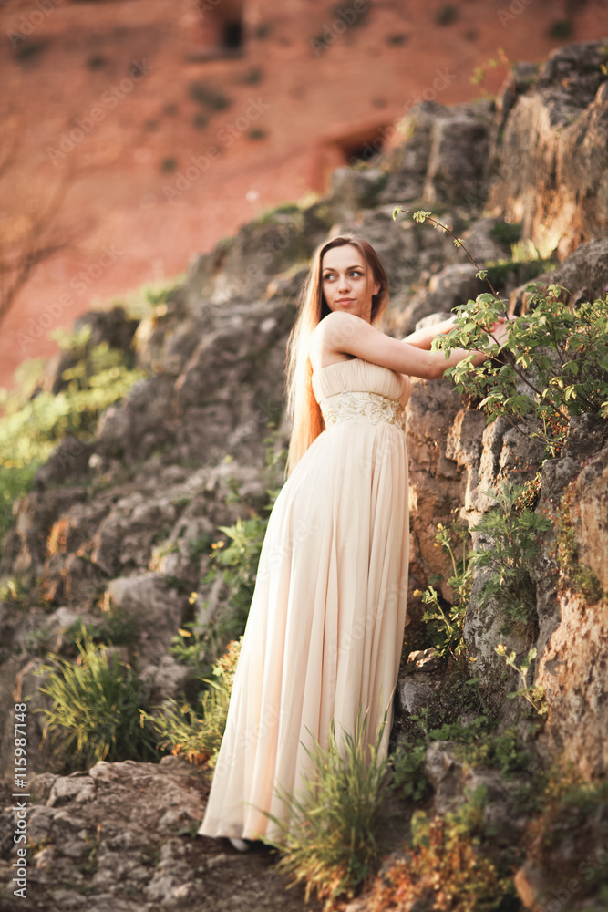 Attractive young woman in long dress standing on the rocks