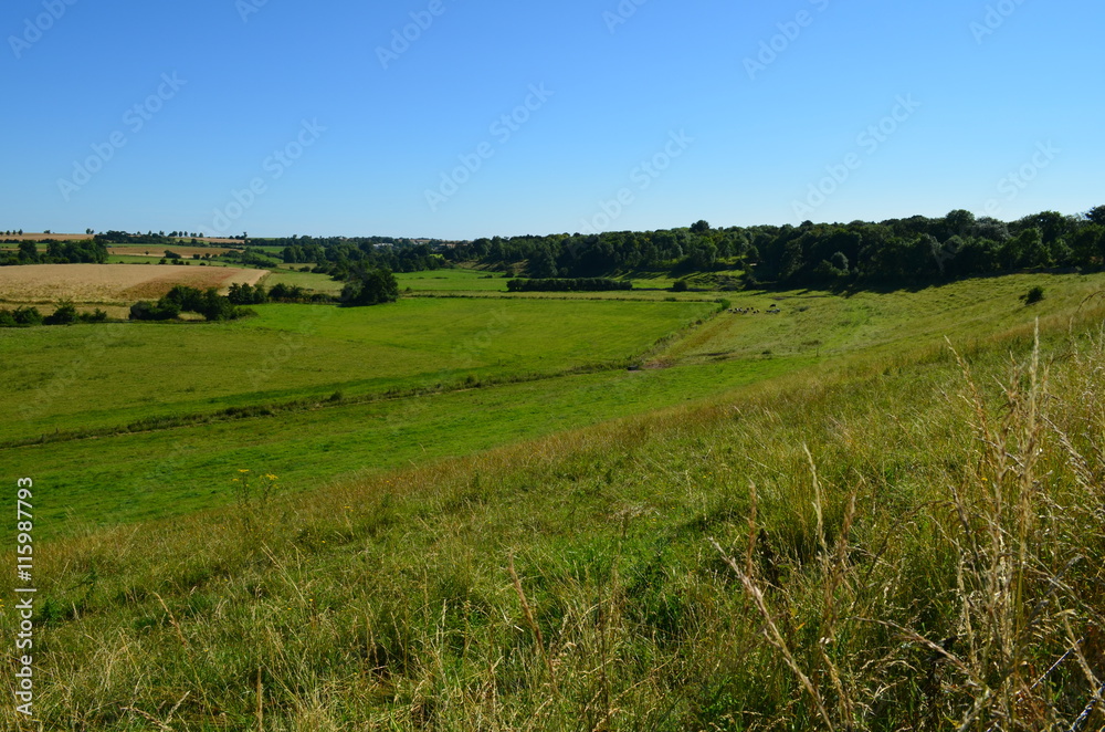 Obraz premium Paysage du Bessin (Région de Creully - Calvados)
