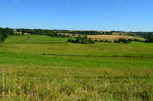 Paysage du Bessin (Région de Creully - Calvados)