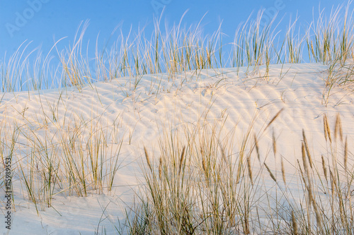 beautiful view of the coastal dunes