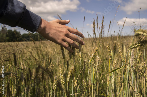 Man hand in cereals