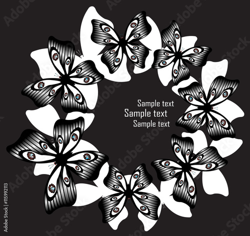 Various butterflies