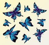 flying butterflies on a light background