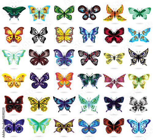Set of butterflies