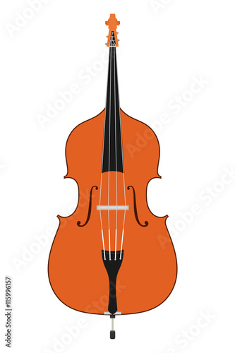 Double bass. Stringed Musical Instruments contrabass on a white