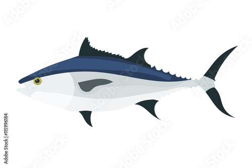 Tuna on white background. Color vector image of tuna fish. Anima