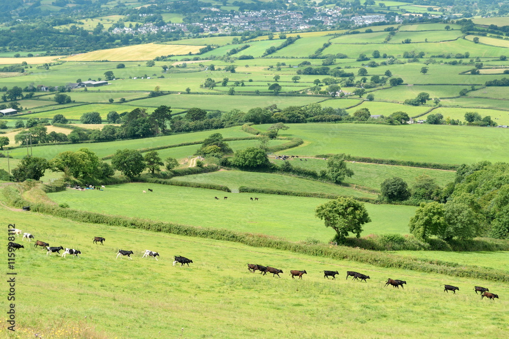 Beautiful farmland Axe Valley in East Devon, England