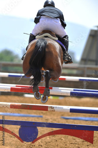 The rider overcomes the obstacle on the horse jumping competition