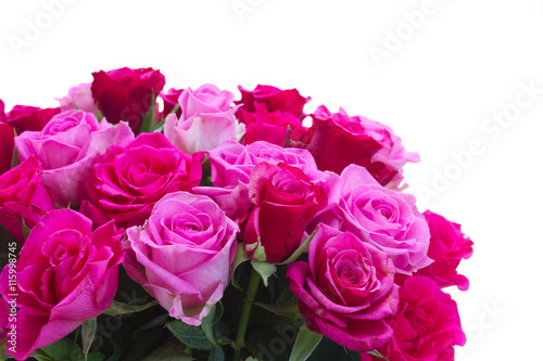 bouquet of pink and magenta rose flowers closeup isolated on white background