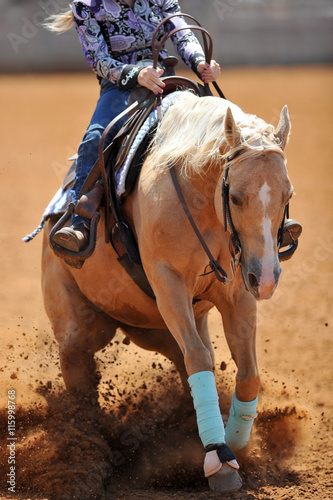 The front view of the rider in leather chaps sliding his horse forward and raising up the clouds of dust