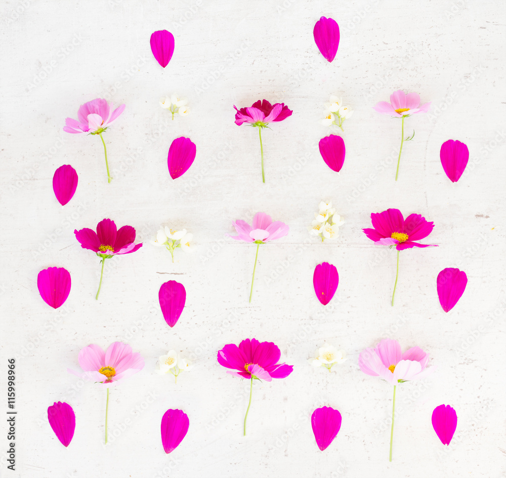 Cosmos and jasmine flowers and petals festive flat lay composition on white table Cosmos and jasmine flowers and petals festive flat lay composition on white table