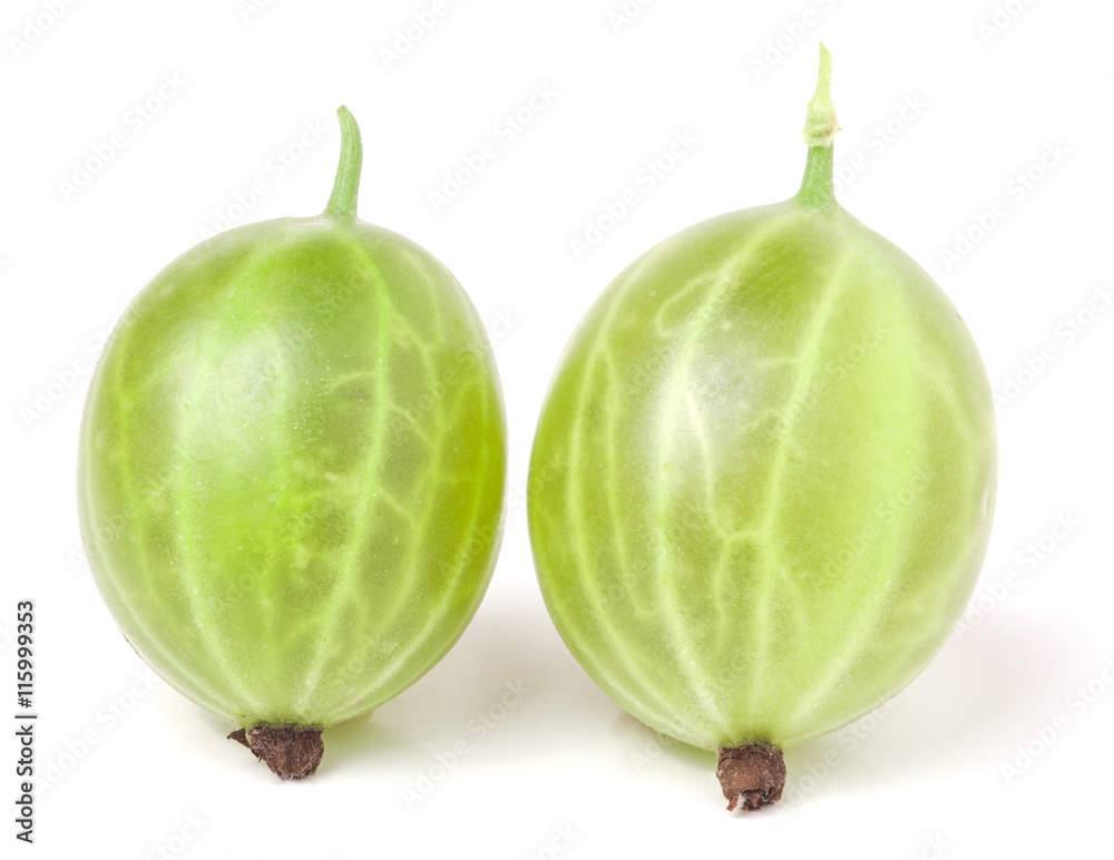 two gooseberry isolated on white background close-up macro two gooseberry isolated on white background close-up macro