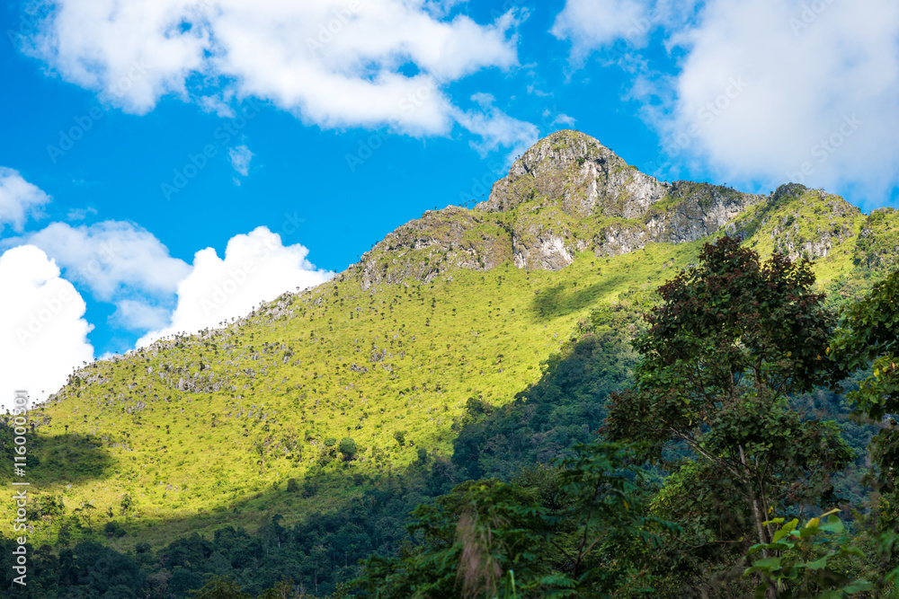 Forest landscape view of green mountains and blue sky with cloud Forest landscape view of green mountains and blue sky with cloud