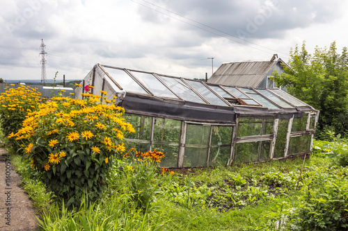 Old greenhouse for growing vegetables made from discarded materials and old window frames