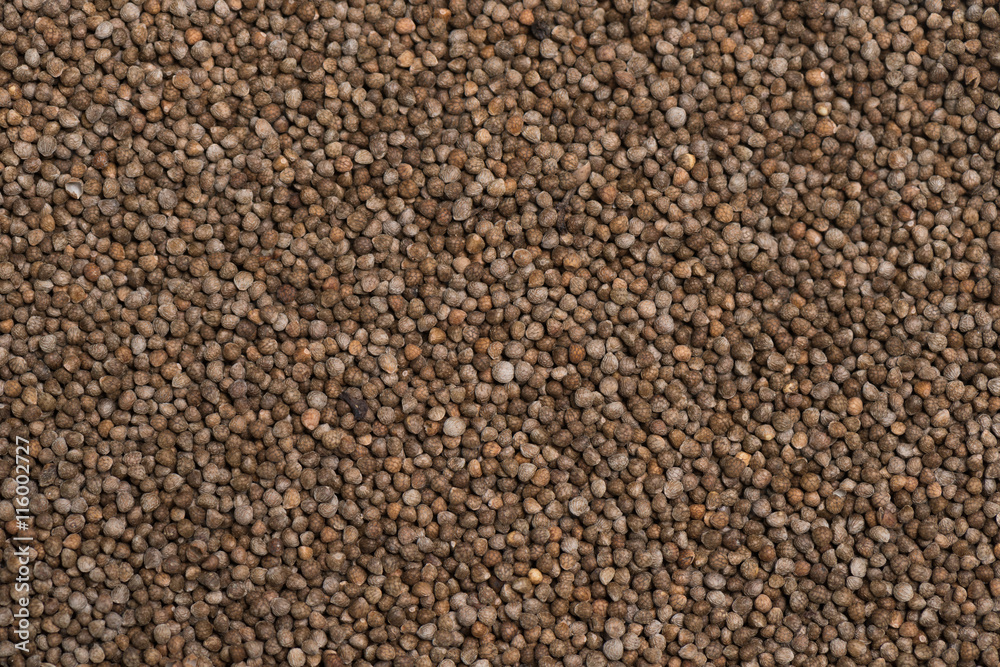 Aromatic Sesame seed Aromatic Sesame seed