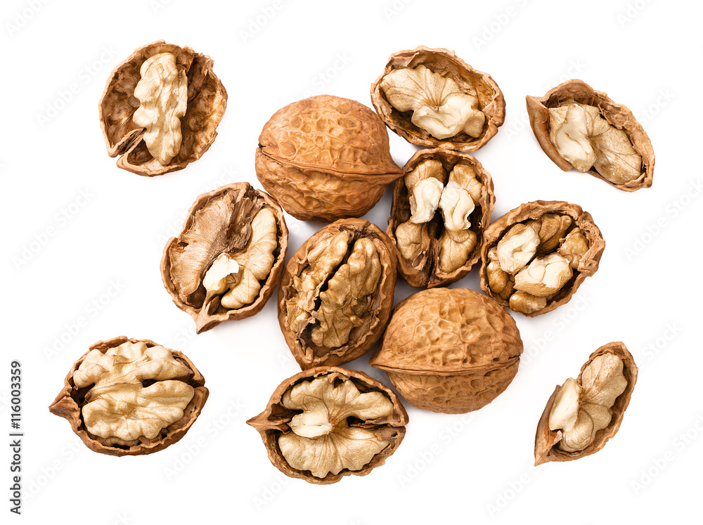 cracking walnuts on white cracking walnuts on white