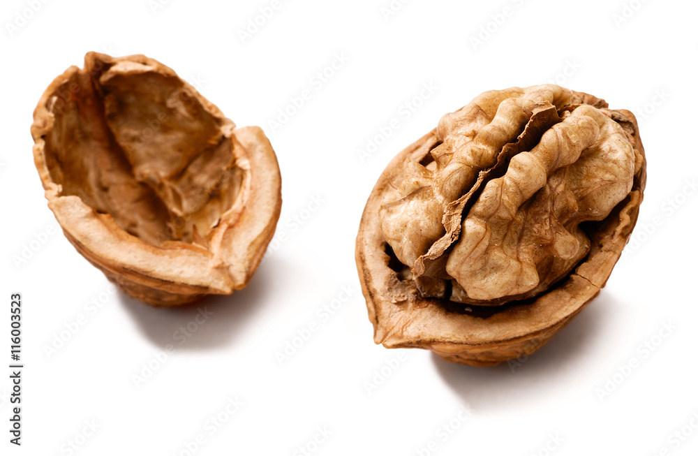 cracking walnuts on white cracking walnuts on white