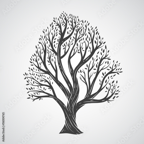 Hand draw tree with leaves