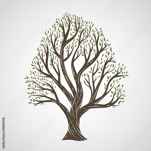 Hand draw tree with leaves