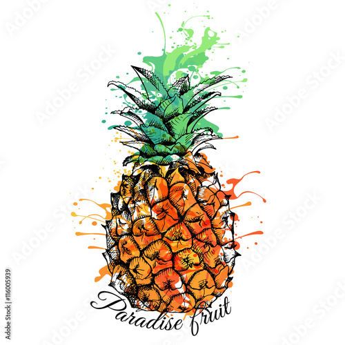 Bright color Pineapple. Vector illustration.