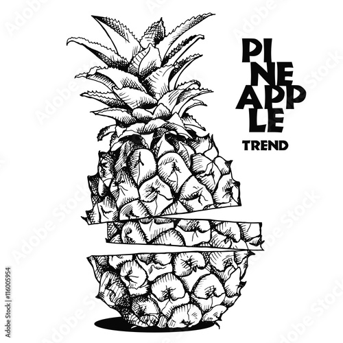 Image slices of pineapple fruit. Vector black and white illustration.