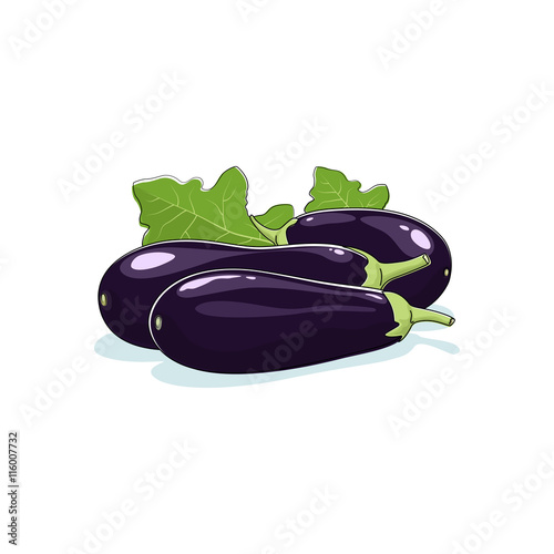 Eggplant Isolated on White Background, Vegetables Aubergine, Edible Fruit, Vector Illustration