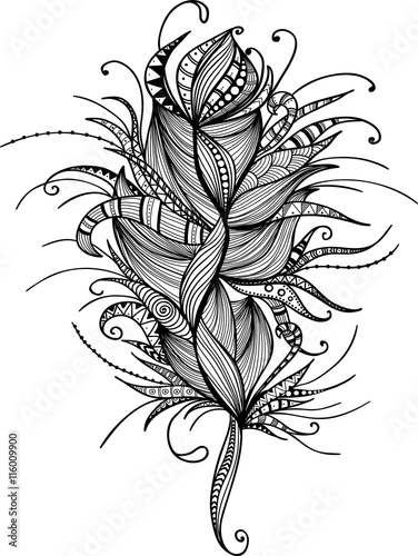 Wallpaper Mural Feather doodle illustration hand drawn abstract vector Torontodigital.ca
