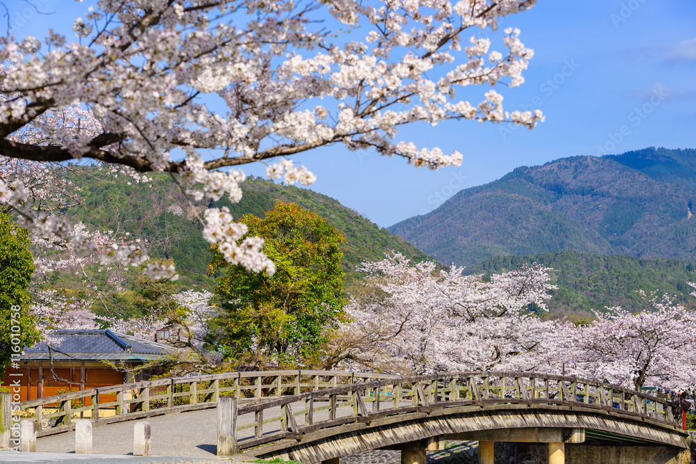 Kyoto, Japan Spring in Arashiyama district.
