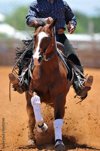 The front view of the rider in leather chaps sliding his horse forward and raising up the clouds of dust