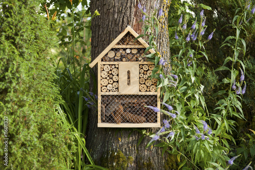 Insect house in the garden, protection for insects, insekt hotel. © jbphotographylt