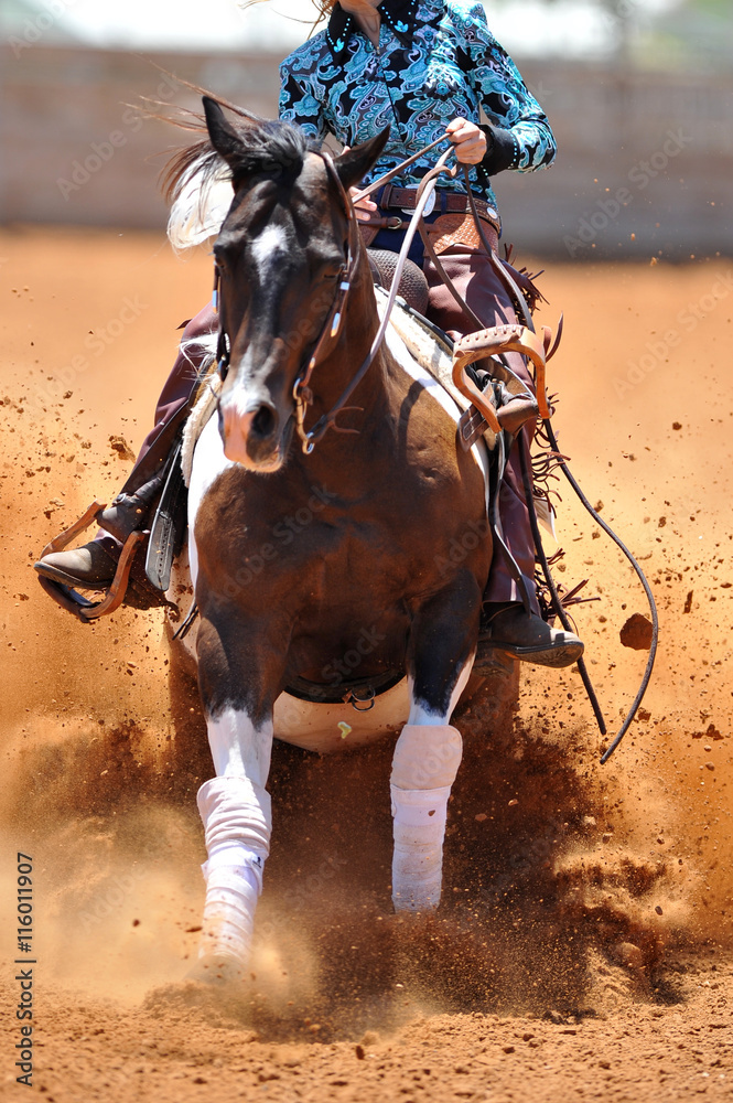 The front view of the rider in leather chaps sliding his horse forward and raising up the clouds of dust The front view of the rider in leather chaps sliding his horse forward and raising up the clouds of dust