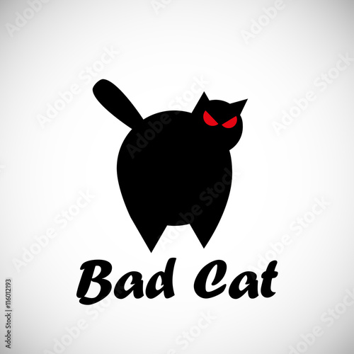 cat illustration