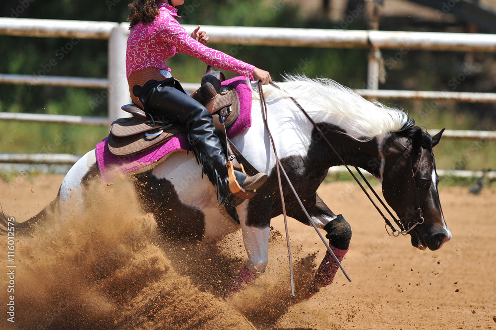 The side view of the rider in leather chaps sliding his horse forward and raising up the clouds of dust