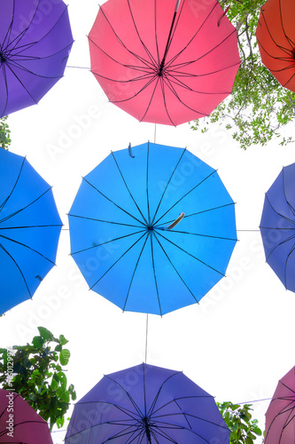 The colorful umbrellas