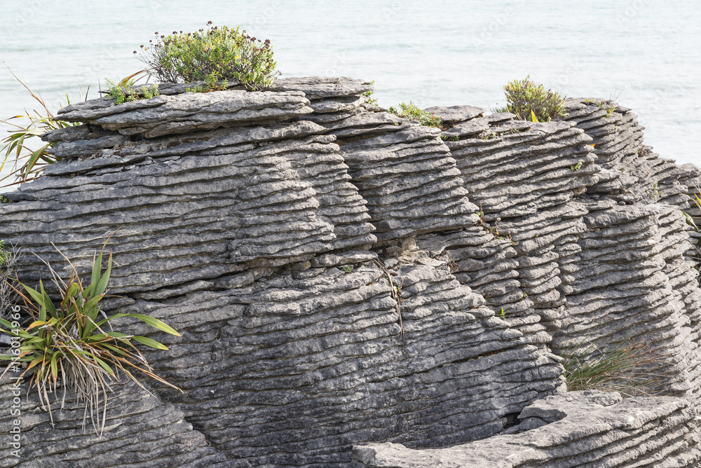 Φωτογραφία Pancake Rocks in Paparoa National Park , Punakaki , South island New Zealand