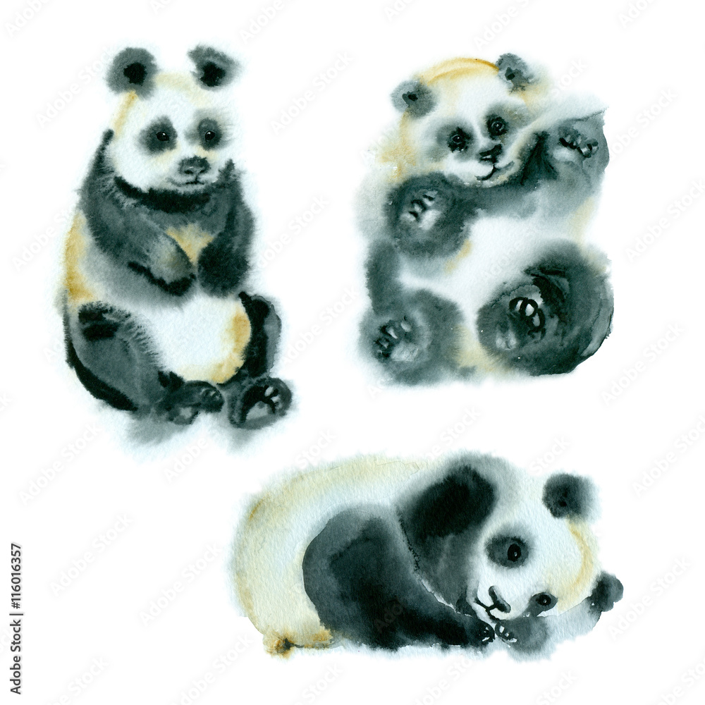 Fototapeta premium Watercolor painting. Sketch of three little pandas on a white background.