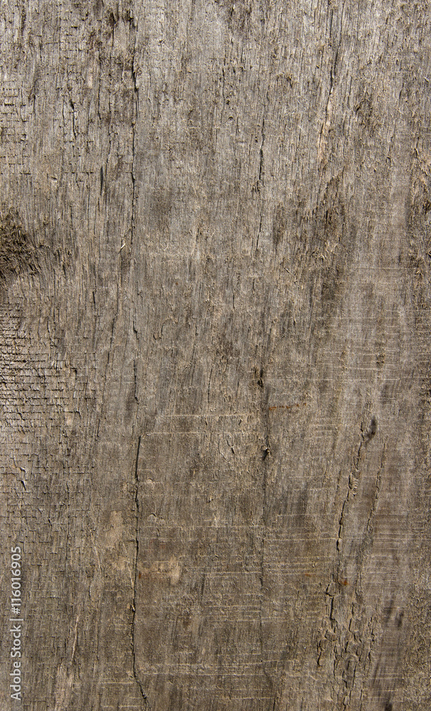 Fototapeta premium old wooden plank