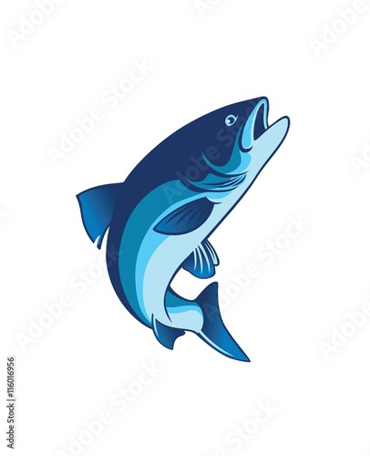 salmon fish
