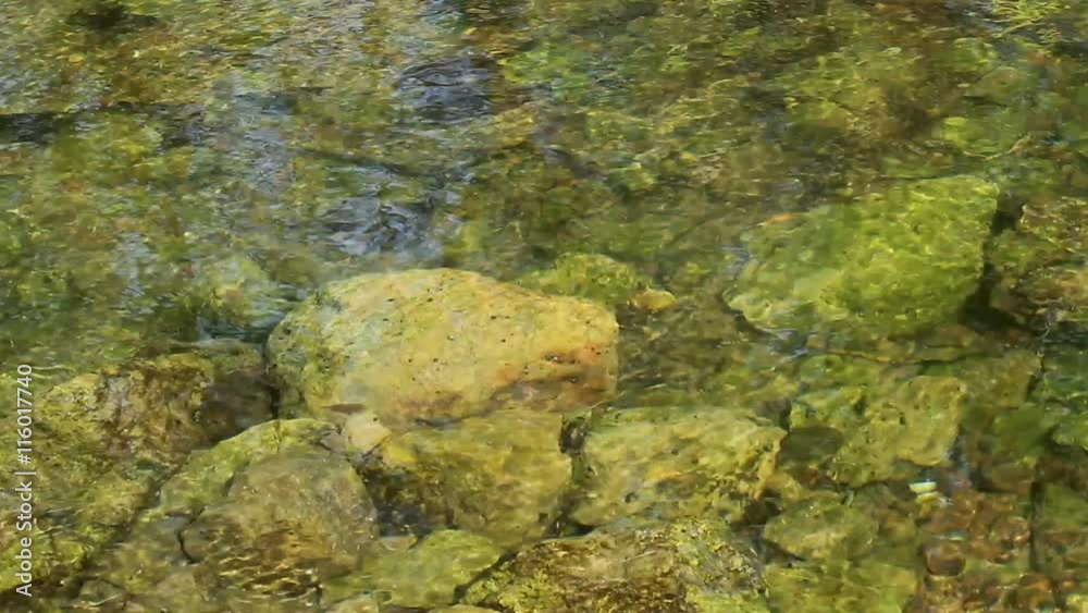 clean water in the river clean water in the river