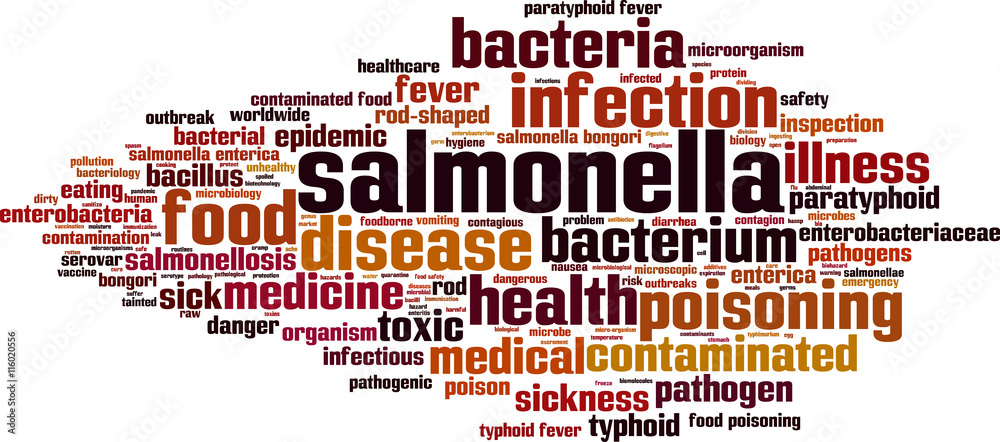 Obraz premium Salmonella word cloud concept. Vector illustration