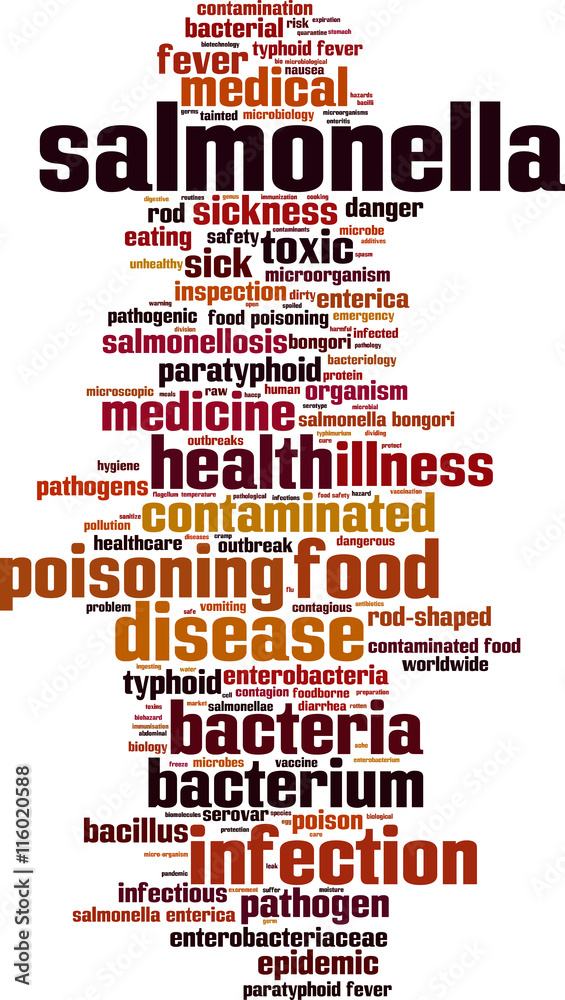 Obraz premium Salmonella word cloud concept. Vector illustration