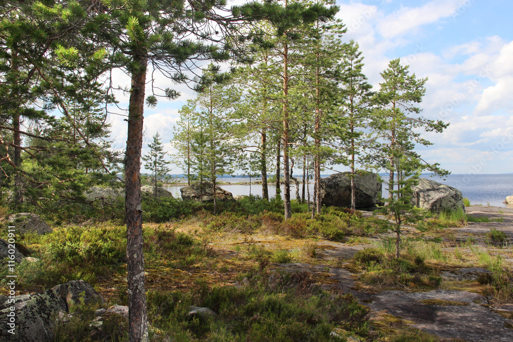 Obraz premium Beautiful wild nature of Finland