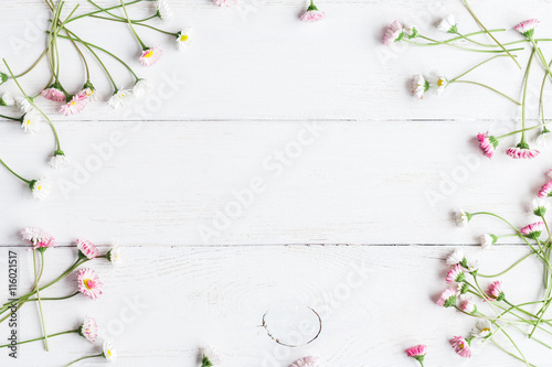 frame of daisies flowers on wooden white background, top view, flat lay