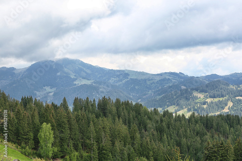 Forest green hills in mountains
