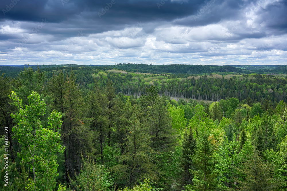 contryside ontario canada nature aerial view of the forest contryside ontario canada nature aerial view of the forest